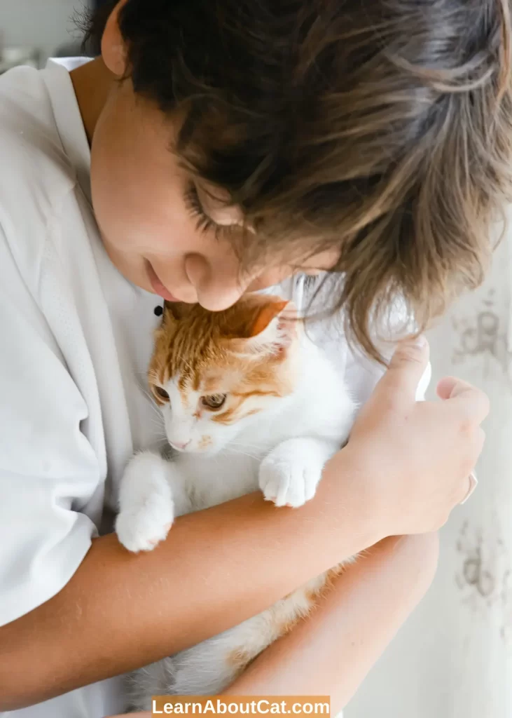 What Makes Cats Pick Their Favorite Person