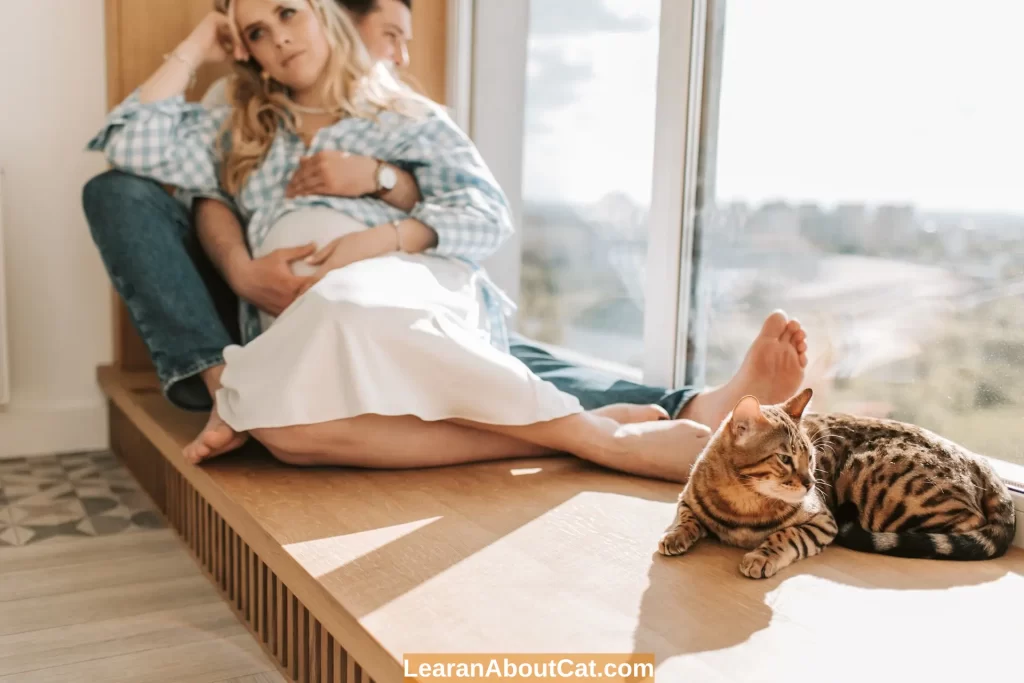 Is it Safe to be Near Cats When Pregnant