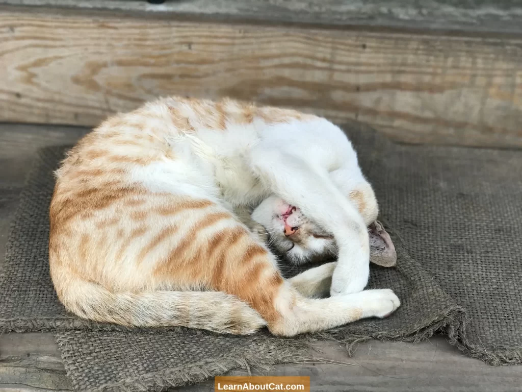 Head Pressing Versus Sleeping Face Down