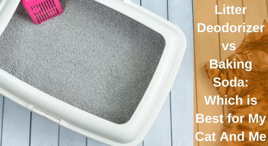 Litter Deodorizer vs Baking Soda Which is Best for My Cat and Me