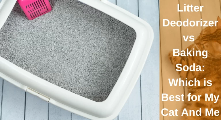 Litter Deodorizer vs Baking Soda: Which is Best for My Cat and Me