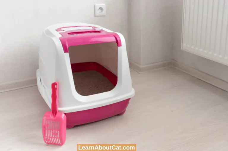 Select the Appropriate Litter Box