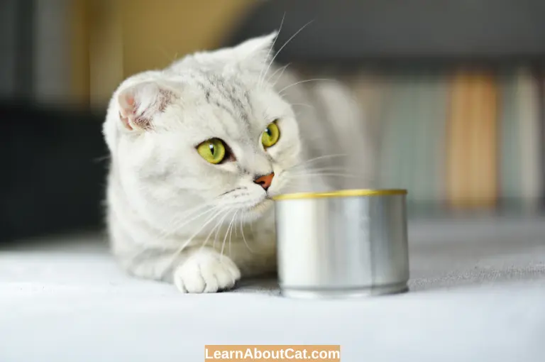 Is Cat Food Edible For Humans