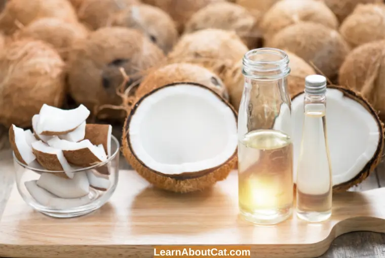 What Is Coconut Oil