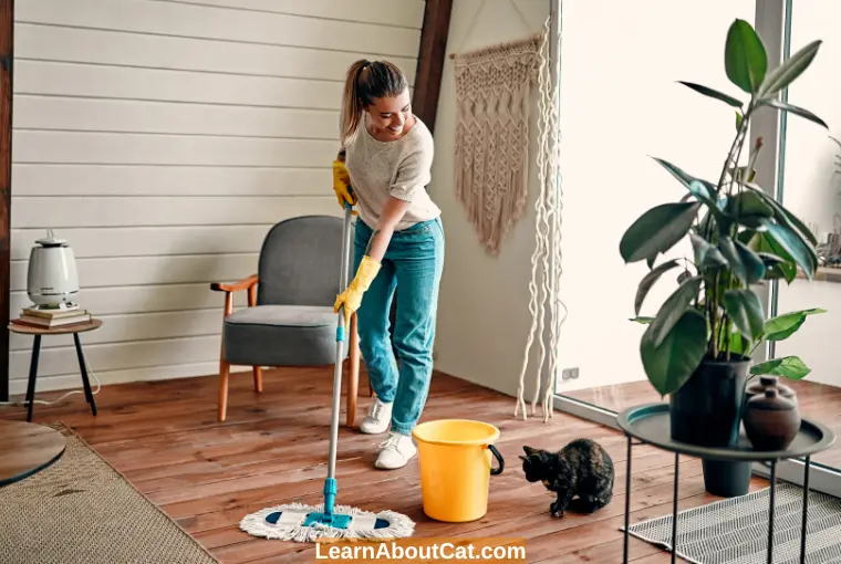 How to Clean Your House After a Worm Infestation
