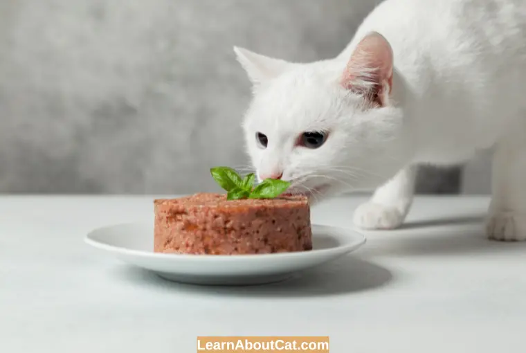 Human Foods That Are Poisonous to Cats
