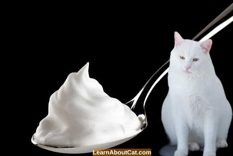 Is Whipped Cream Bad for Cats
