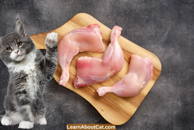 What Advantages Do Cats Receive When Given Raw Chicken Bones