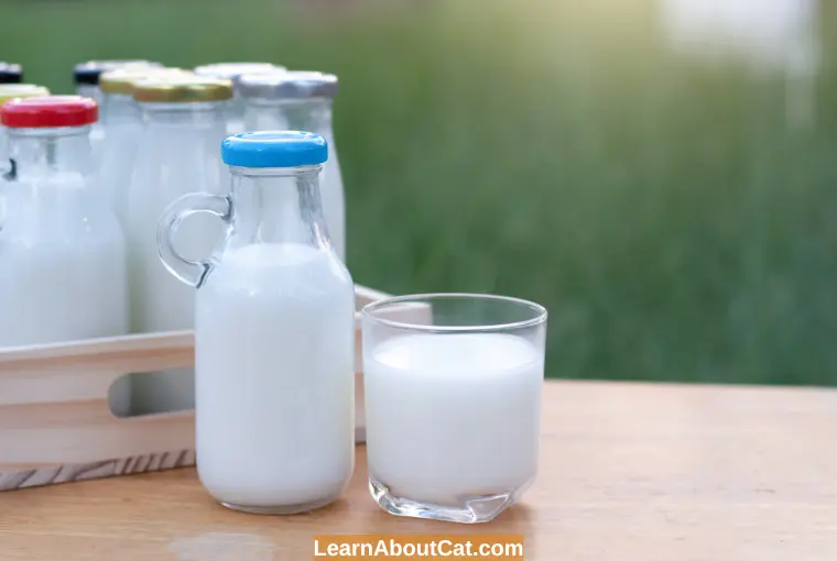 Which Milk is Riskier, And Which Should We Stay Away From