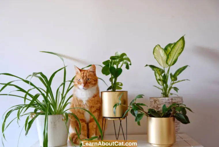 How Can I Prevent My Cat from Eating Spider Plants