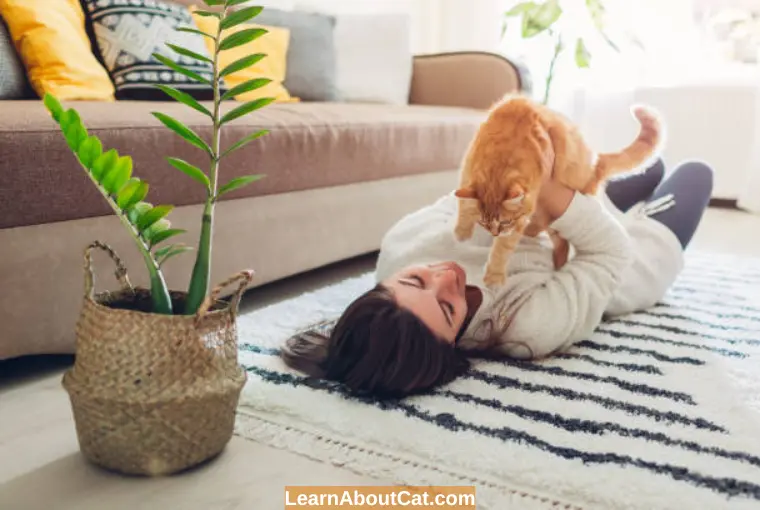 What Happens if a Cat Eats a ZZ plant? 
