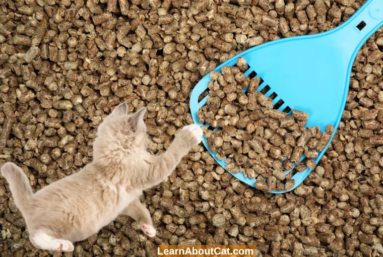 Is Wood Pellet Cat Litter Safe for My Cat