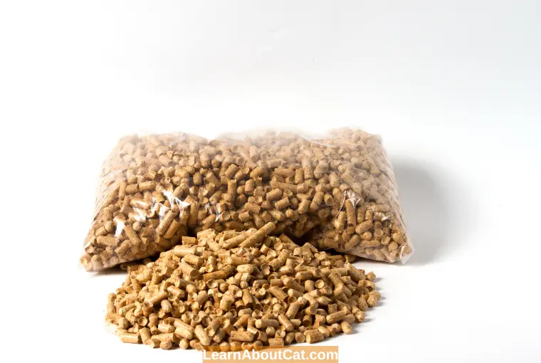 What Are The Best Pine Pellets For Cats.webp