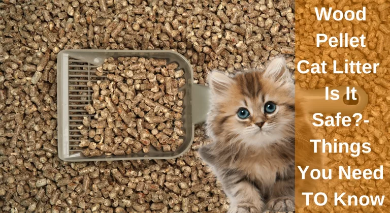 Wood Pellet Cat Litter-Is It Safe?-What You Need To Know
