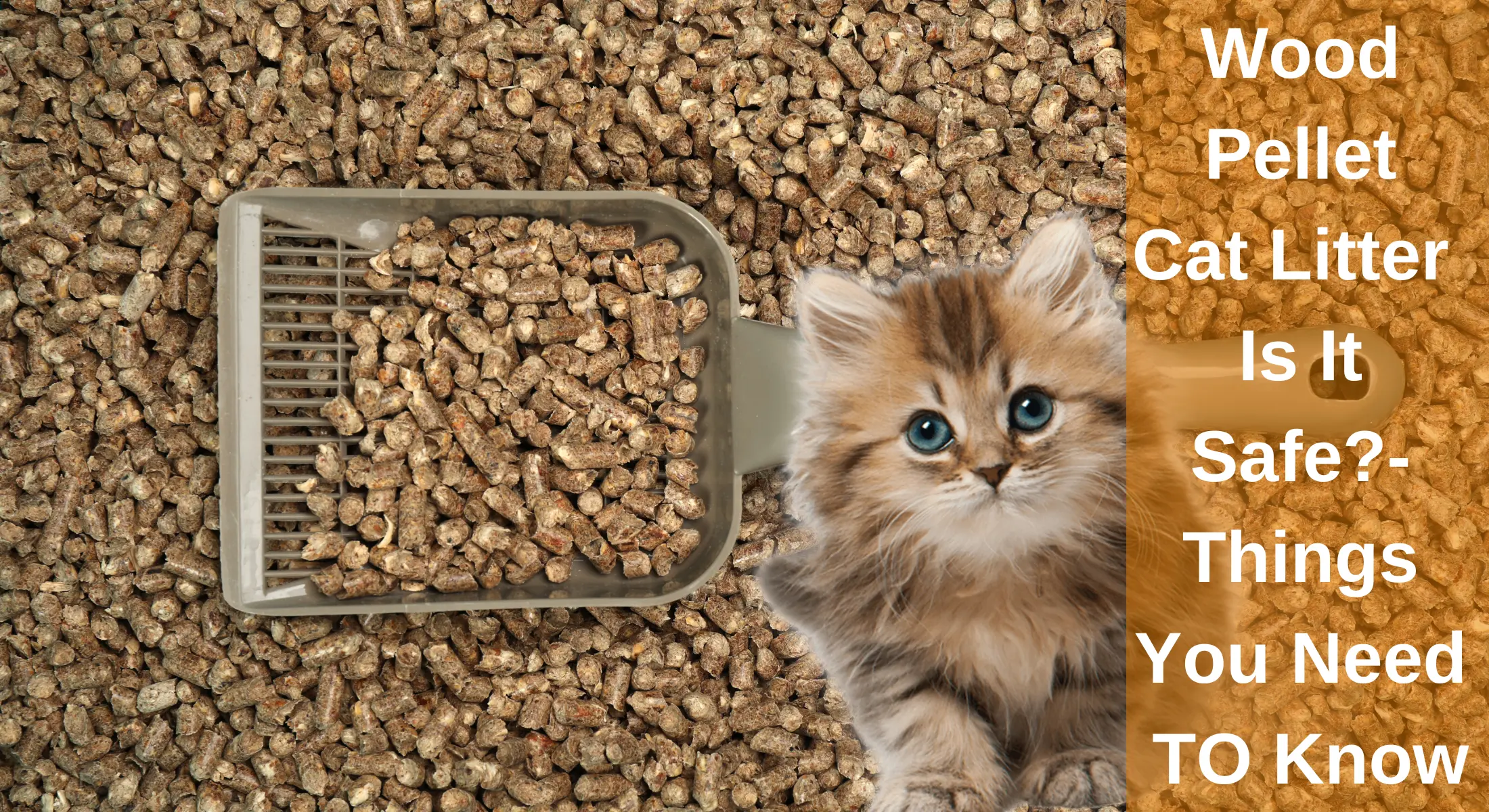 How To Clean Cat Litter Boxes Using Pine Pellets