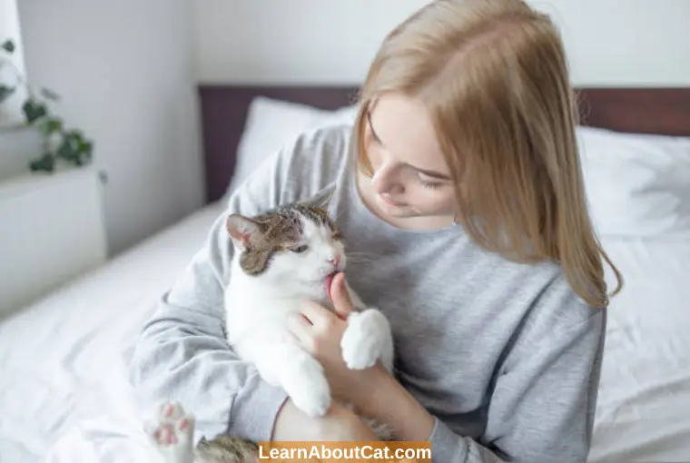 Benefits of Communicating With Your Cats
