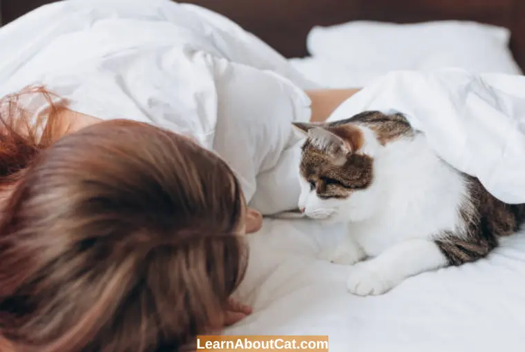 Will My Cat Eat Me If I Die? All You Need To Know LearnAboutCat