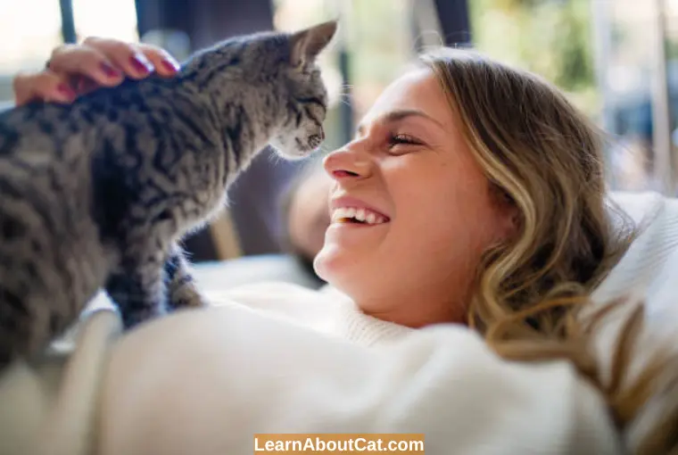 Is It Possible for Cats to Perceive Human Emotions