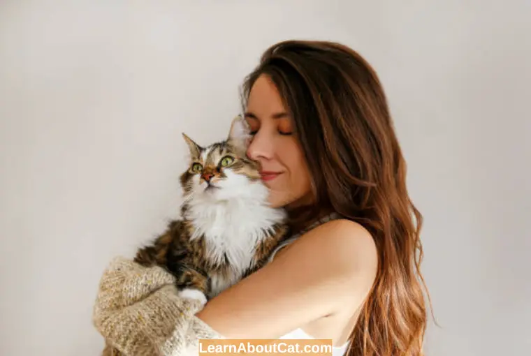 Reasons Cats Prefer Women More Than Men