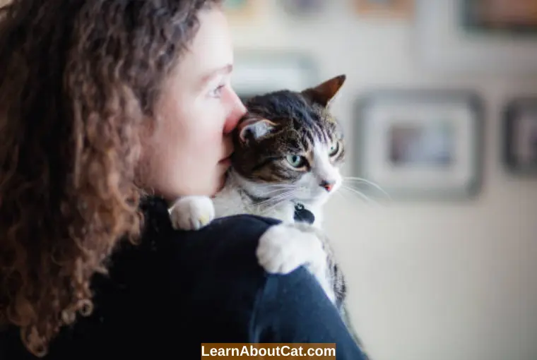 What Cats Do at Different Ages - Cat Behaviour by Age A Complete Guide