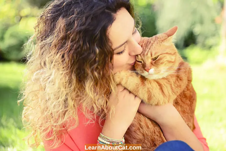 Why Are Orange Tabby Cats So Affectionate