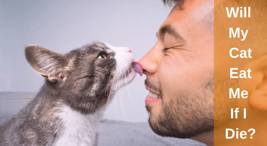 Will My Cat Eat Me If I Die? All You Need To Know LearnAboutCat