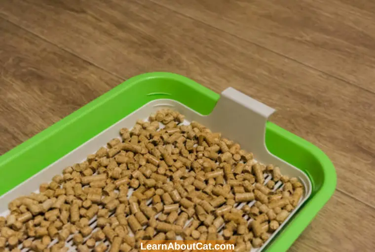 Can You Use Wood Pellets for Cat Litter