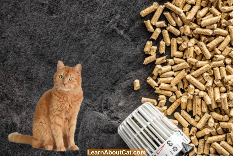 Does Wood Pellet Cat Litter Clump