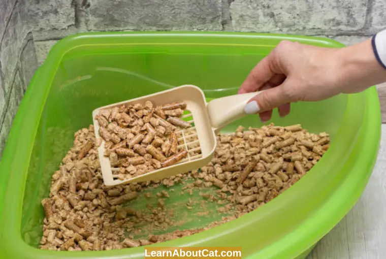 How to Scoop Wood Pellet Litter