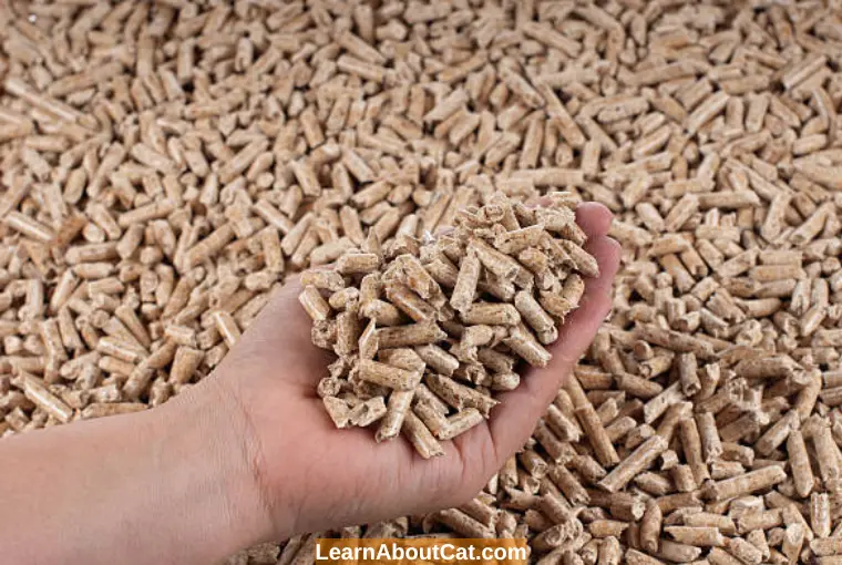 Pros and Cons of Wood Pellet Cat Litter