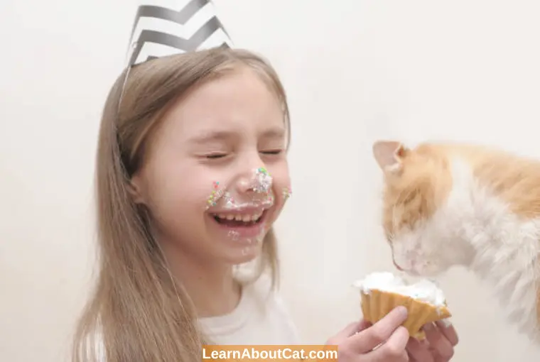 cat eats cake	