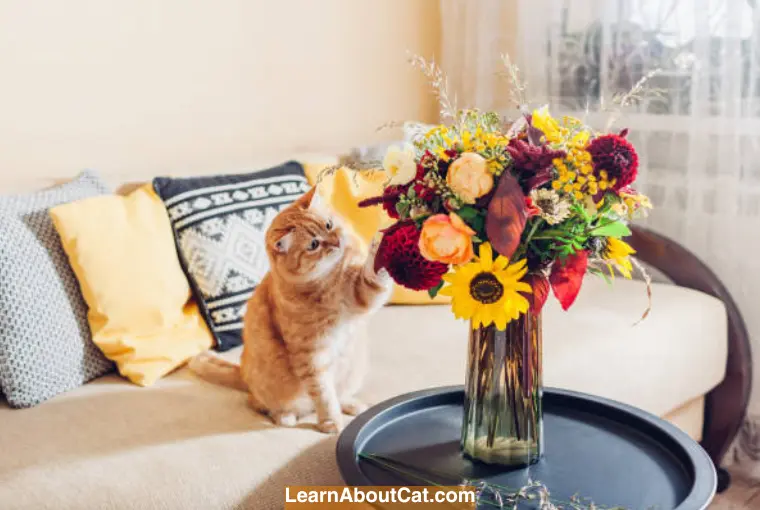 Alternatives to Roses for Cat-Friendly Decorations