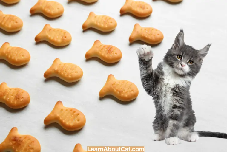 Are Goldfish Crackers Safe for Cats