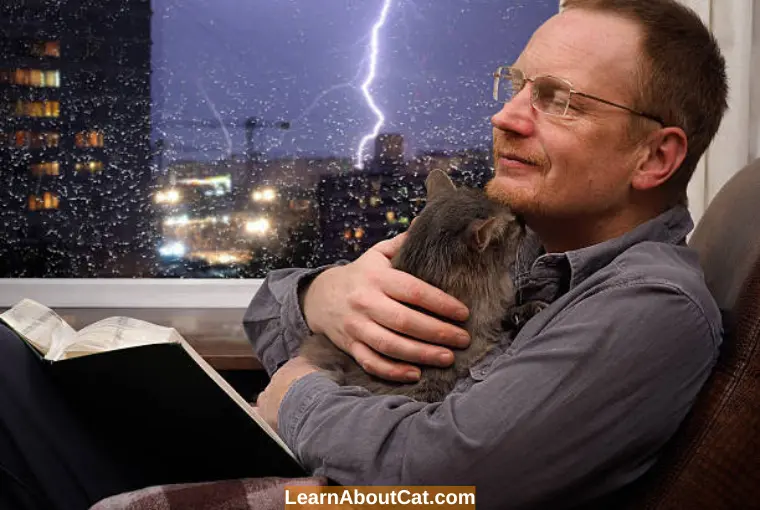 How to Calm Your Cat During a Storm