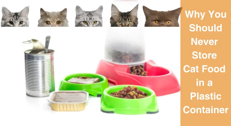 Never Store Cat Food in a Plastic Container