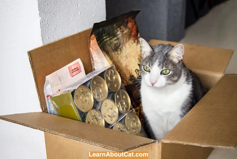 Tips for Safe Cat Food Storage