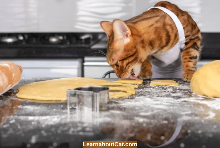 What Should I Do if My Cat Eats Flour