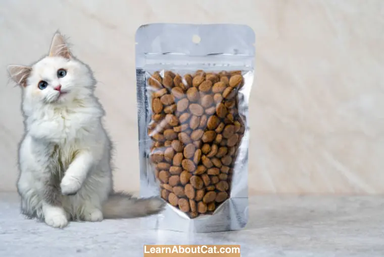 Why You Should Never Store Cat Food in a Plastic Container