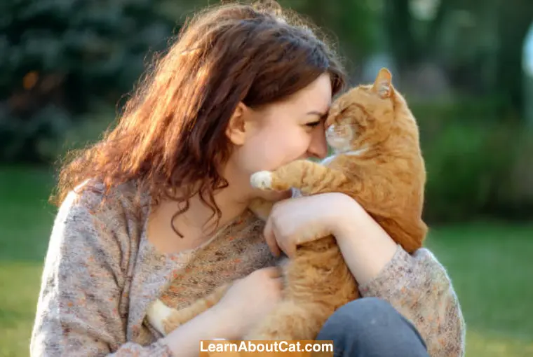 why orange tabby cats are so affectionate