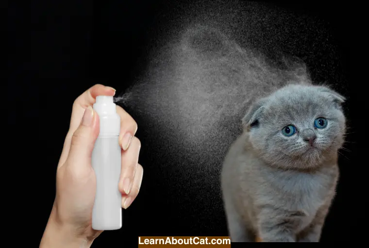Benefits of Using a Detangler Spray for Cats