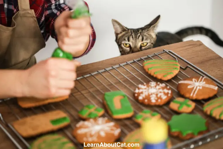 Cat’s Specific Biscuits to My Cat