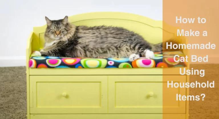 Homemade Cat Bed: DIY Cat Bed Using Household Items