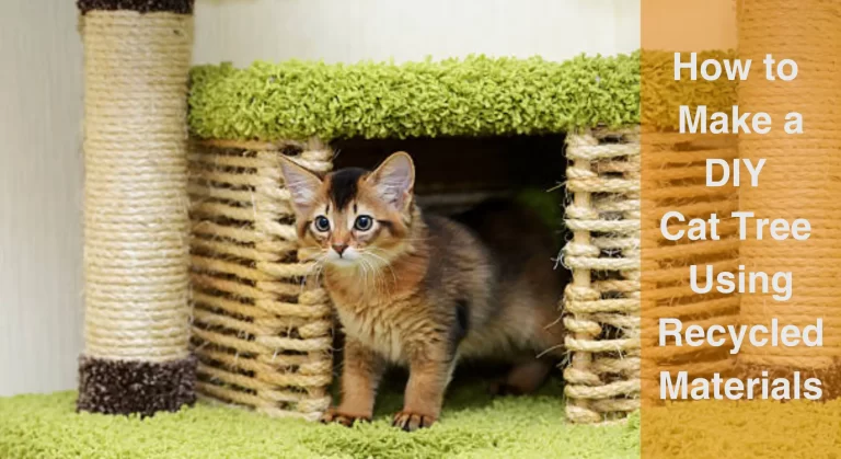 How to Make a DIY Cat Tree Using Recycled Materials