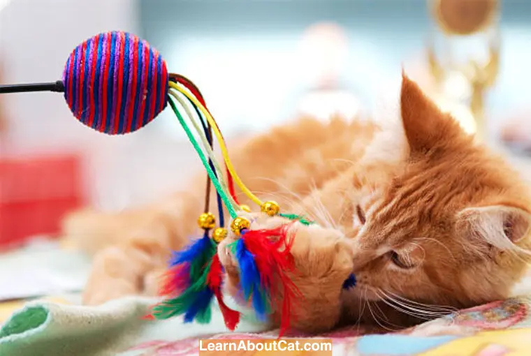Factors to Consider When Choosing Cat Toys for Indoor Cats Who Don't Like Catnip