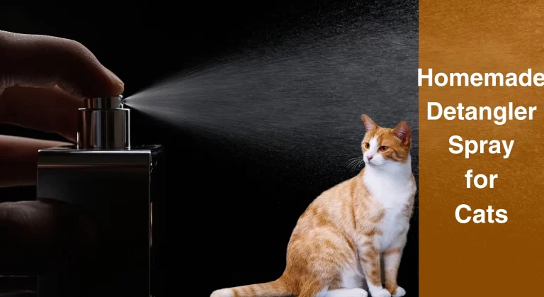 Homemade Detangler Spray for Cats: Easy Guide to Making Your Own Natural Solution