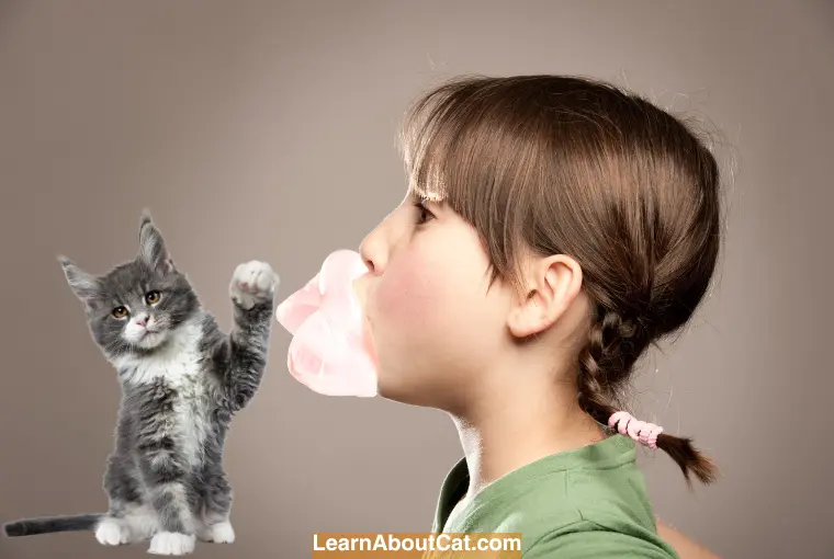 How Can I Prevent My Cat from Eating Gum