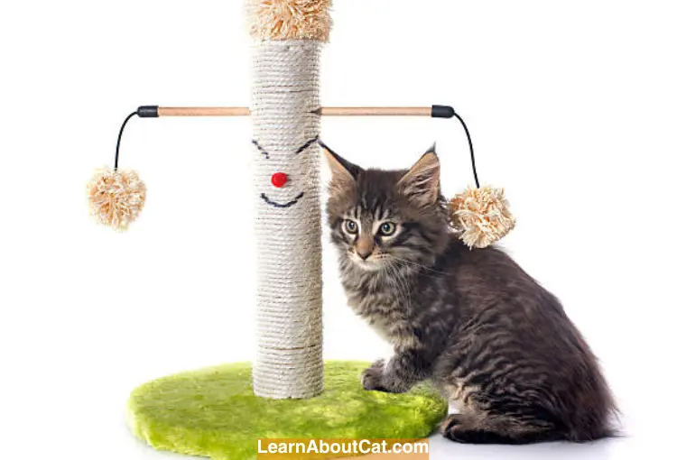 Step-by-Step Guide for DIY Cat Tree Using Recycled Materials