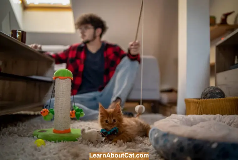 The Benefits of Interactive Cat Toys for Mental Stimulation