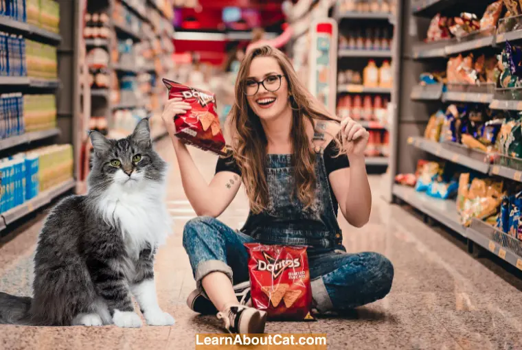 Why Do Cats Like Doritos