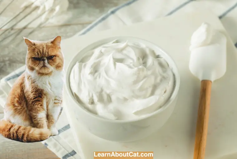 Can Cats Eat Vanilla in Food